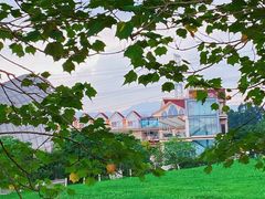 -紫颐香薰山谷景区