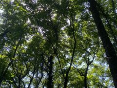 -西溪南古村落景区