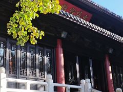 -灵谷景区