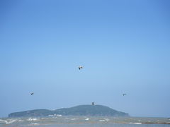 -海驴岛(荣成市)