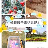 上海｜ 带着孩子👶快来这个亲子农场过六一吧