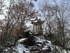 -紫金山山顶公园