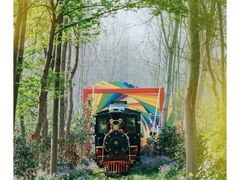 -合肥滨湖国家森林公园