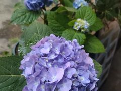 -汇美纪养生·足疗按摩·精油SPA(水围店)