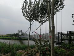 -西青郊野公园