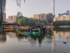 -团结湖公园