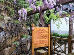 -龙口南山旅游景区