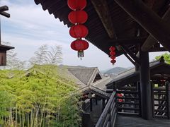 -大唐贡茶院