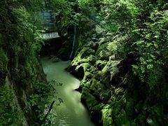 -后柳水乡