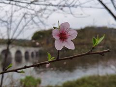 -重庆园博园