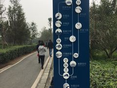 -白鹭湾湿地公园