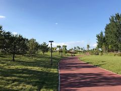 -瀛海足球主题公园