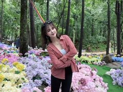 -洛阳白云山景区