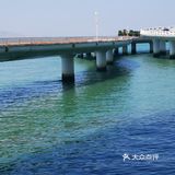 演武大桥观景台之光影秀
