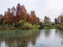 -西溪国家湿地公园