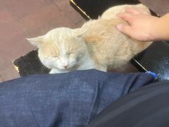 -储奇门鳝鱼火锅(总店)