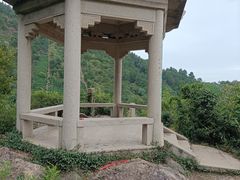 -树山生态村