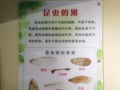 -上海昆虫博物馆