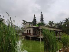 -广西壮族自治区药用植物园