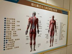 -通透堂中医·精准推拿(旗舰店)