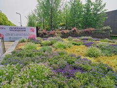 -武汉园博园(武汉自然博物馆)