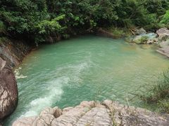 -广州白江湖森林公园