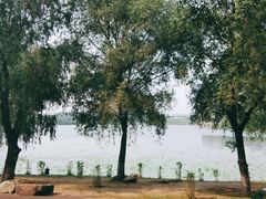 -丁香湖公园