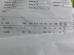 -成都民大动物医院
