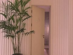 包房-LANN I 蘭 SPA(陆家嘴中心店)
