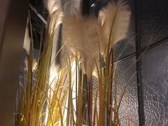 -生如夏花泰式火锅(伊藤双楠店)