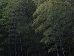 -兰亭风景区