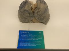 -生命奥秘博物馆