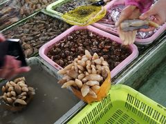 -南沙十九涌渔人码头-南门