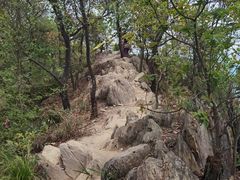 -羚羊峡古栈道森林公园