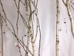 -成都失恋馆