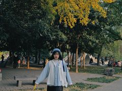 -西苑公园