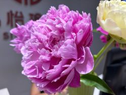 点击看大图 -思怡瑜伽·普拉提·减脂塑形