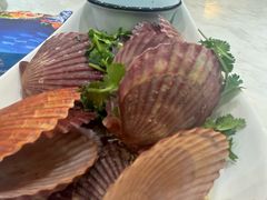 -喜来酌海鲜·饺子(和平一店)