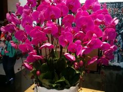 -黔蘑菇四季餐厅(观山湖店)