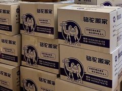 -骆驼日式搬家收纳整理