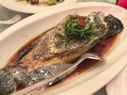 -上海明天广场JW万豪酒店·宴会厅