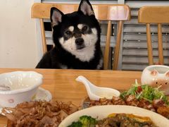 -柴の食堂·日式家庭料理·熊之肆(大学路店)
