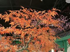 -荷塘秋月·本帮江浙菜(国权路店)