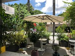 -花神·轻食简餐·咖啡馆·花卉绿植(荷兰花卉小镇店)