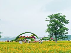 -海珠湖公园