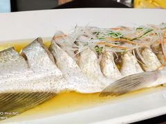 -金枝玉叶上海人家食府(三里河店)