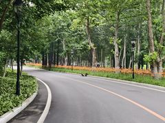 -棒棰岛宾馆景区
