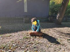 -俄罗斯风情小镇