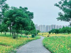 -洋湖国家湿地公园