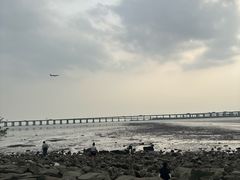 -宝安西湾红树林湿地公园